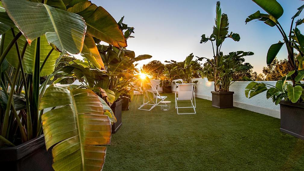 Capoblu Hotel Pula Eksteriør billede
